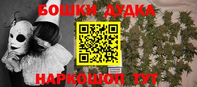 мдпв Заводоуковск