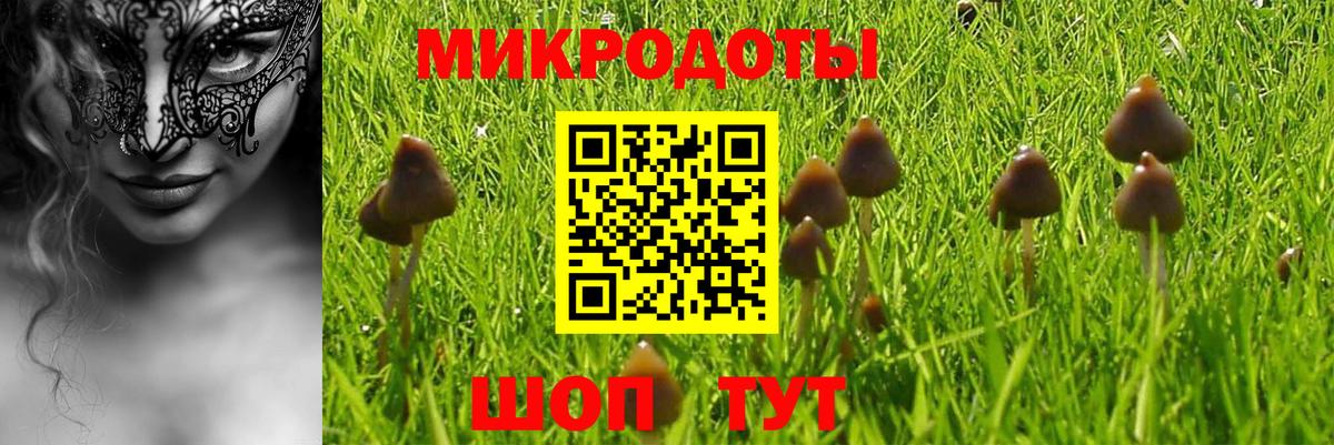 Людиново  Псилоцибиновые грибы Magic Shrooms  Вход с VPN 